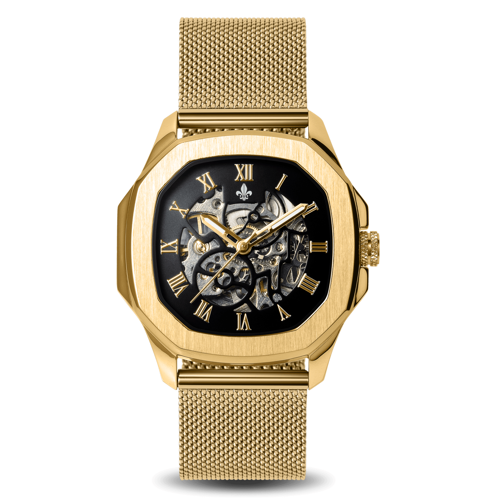 The Avalon Gold + Gold Mesh Strap
